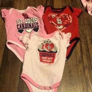Baby cardinals set!